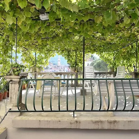 Apartment Buena Vista *